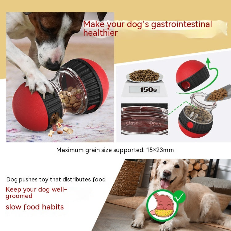Japasu Interactive IQ Tumbler – Slow Feeder & Puzzle Toy for Boredom Relief & Digestive Health