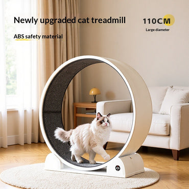 Japasu Luxury Interactive Cat Treadmill – Smart Silent Exercise Wheel with Integrated LCD Display