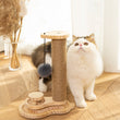 Japasu Luxury 2-in-1 Solid Wood Cat Turntable – Triple-Tier Track Toy with Natural Sisal Scratching Post