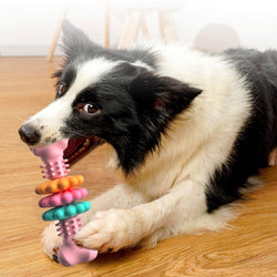 Japasu "Indestructible" Bone – Heavy-Duty TPR Dental Chew & Bite-Resistant Teething Toy for Power Chewers